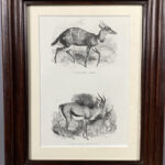 Image du produit précédent