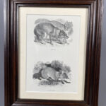 Image du produit précédent