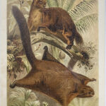 Image du produit suivant