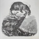 Image du produit suivant